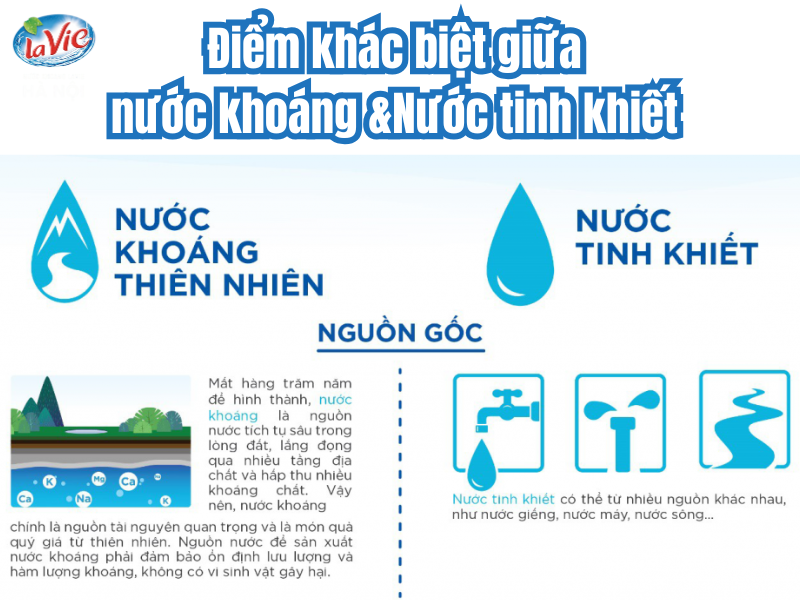 Điểm khác biệt giữa nước khoáng và nước tinh khiết